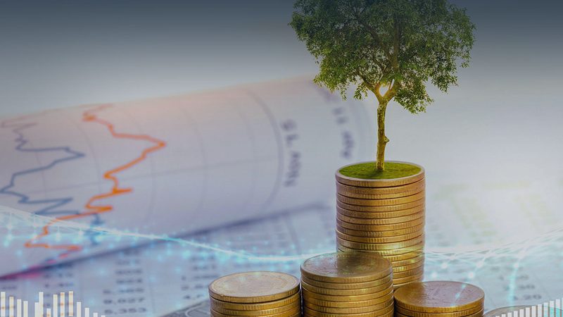企业人力资源组织架构设计：费用考量与价值创造**